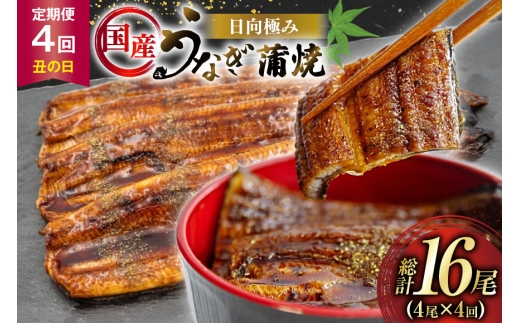 うなぎ 国産 【 丑の日 季節の定期便 】 日向極み うなぎ蒲焼 4尾 計480g [日向サンパーク 宮崎県 日向市 452061506] ギフト 小分け 真空パック 鰻 ウナギ うなぎの蒲焼 蒲焼 蒲焼き