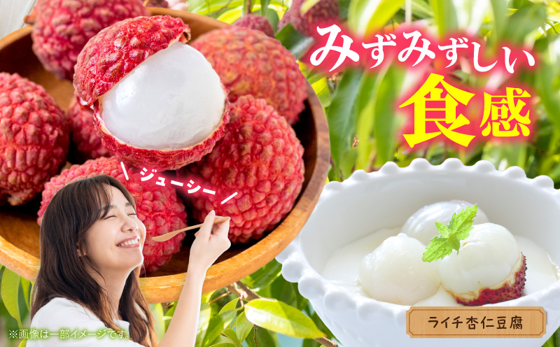 《2026年発送 先行予約》【数量・期間限定】宮崎市産生ライチ 9玉(1玉40g以上) フルーツ 果物 ライチ_M215-003-01