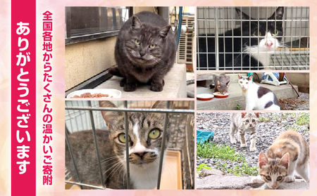 【返礼品なし】動物愛護に関することへの応援寄附(10,000円)_B001-068