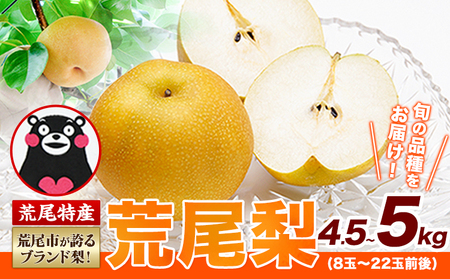 ＜ひるおびで紹介されました＞2026年先行予約 梨 荒尾梨 約4.5～5kg（8～22玉） なし フルーツ 果物 旬 《2026年8月下旬‐11月中旬頃出荷》熊本県 荒尾市 旬の梨 幸水 秋麗 豊水 あきづき 新高 など 合計8種のいずれか（品種指定不可）