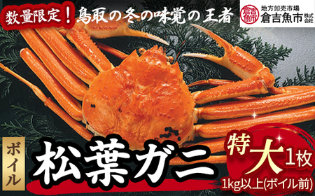 【倉吉魚市】ボイル松葉がに（特大）ボイル前 1kg以上 松葉ガニ ズワイガニ