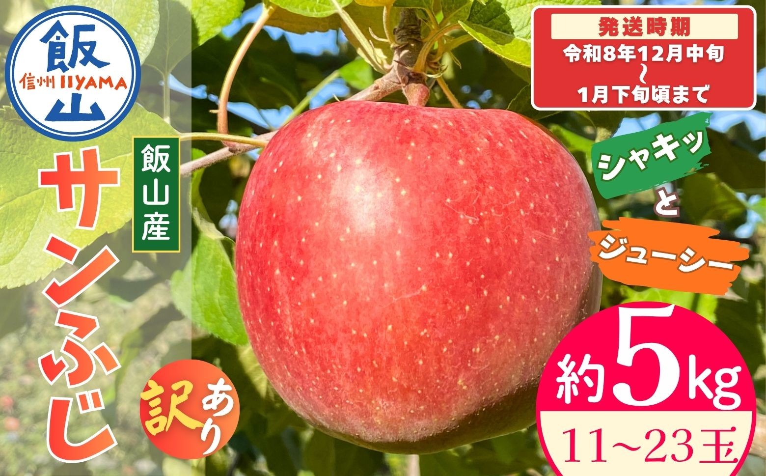 
                  【先行予約│2026年12月中旬より順次発送】訳あり サンふじ 【約5kg(11〜23玉)】│長野県 飯山市 おすすめ ランキング 大好評 先取りりんご リンゴ 林檎 サンふじ 訳あり 規格外 直送 おすすめ(At-036)
                