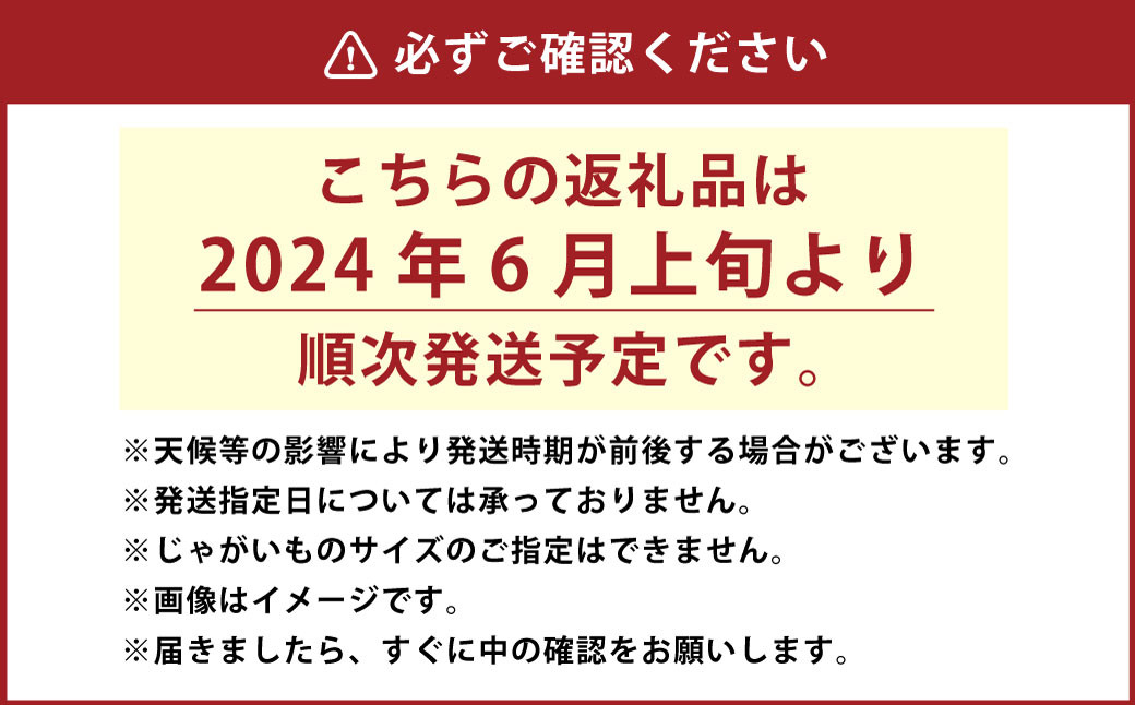 L-36 神栖市産【砂付じゃがいも】約5kg 