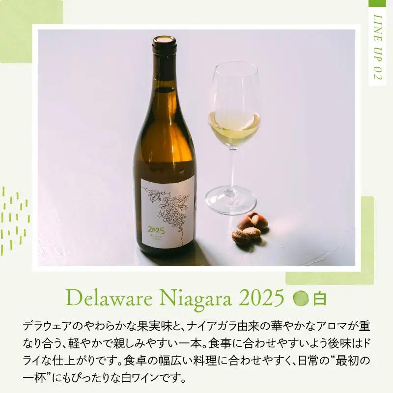 ワイン 2025 赤白 2本飲み比べセット 750ml 各1本 ワイン