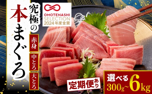 【定期便 6回】本マグロ 赤身 中トロ 大トロ 3種 セット 6kg ( 1kg × 全6回 )