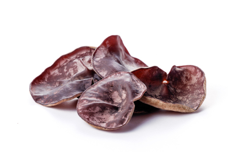 おうちで楽しむ　きくらげ栽培キット　きのこっ家【きのこ きくらげ 木耳 栽培 キット 菌床 1個】