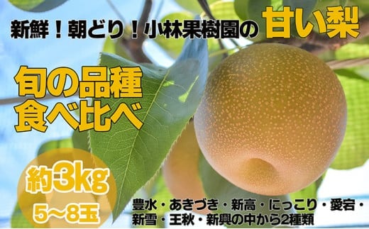 【先行予約・8月下旬以降発送】小林果樹園の甘い梨　食べ比べ5～8玉 