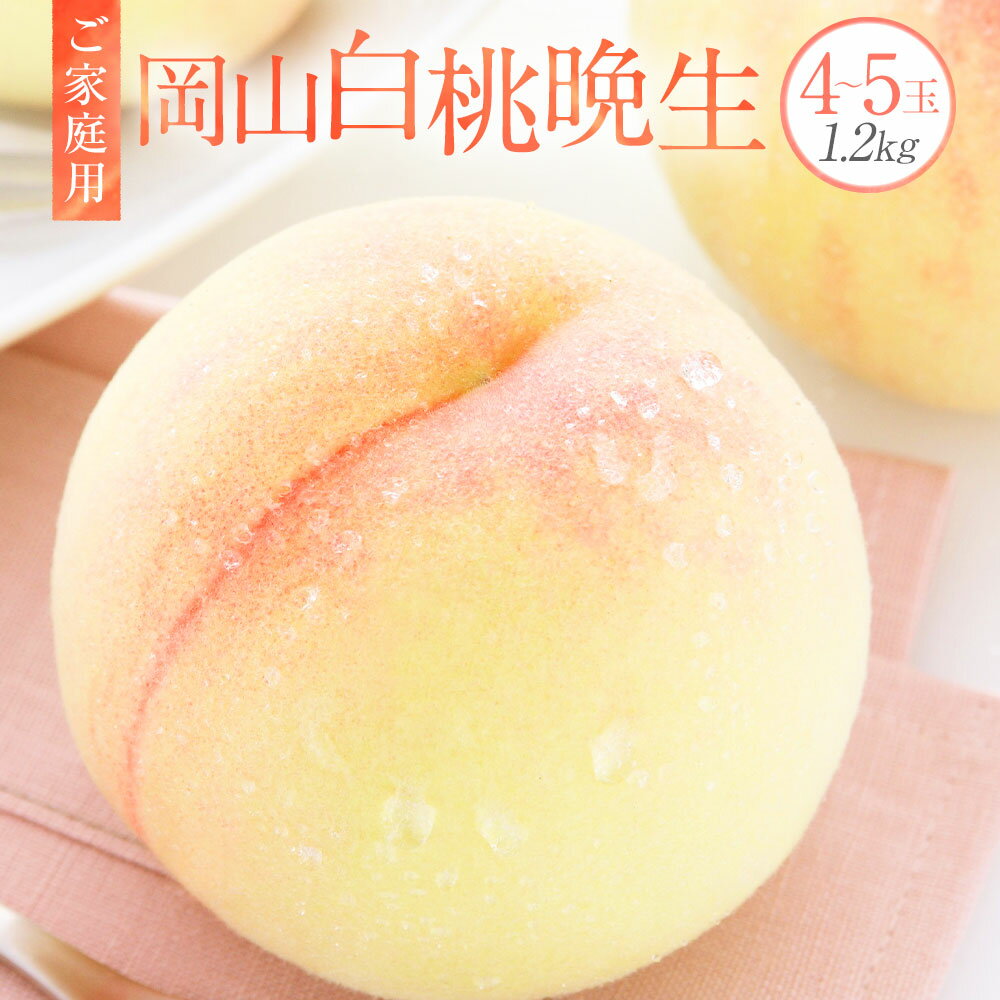 【ふるさと納税】【ご家庭用】岡山白桃 晩生 4～5玉 約1.2kg 白桃 桃 もも モモ 果物 くだもの フルーツ おやつ デザート 冷蔵 岡山県産 岡山県 美咲町 送料無料【2025年8月下旬発送予定】