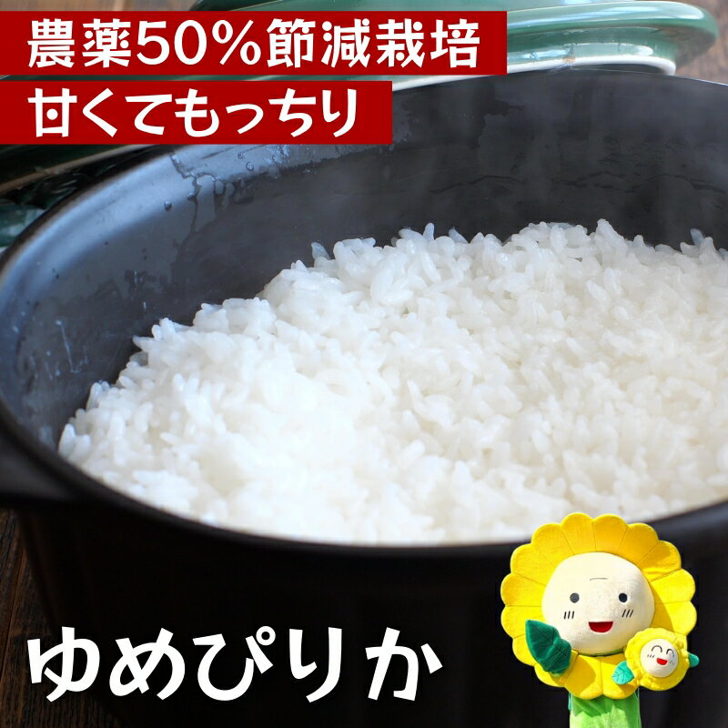 【ふるさと納税】 ゆめぴりか 新米 予約 / 白米 無洗米 玄米 ごはん こめ 北海道米 5kg 10kg 30kg ※10月～順次発送 //rice
