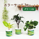 【ふるさと納税】カラーサンド 3個 セット グリーン系 植物 インテリア ガーデン　朝倉市