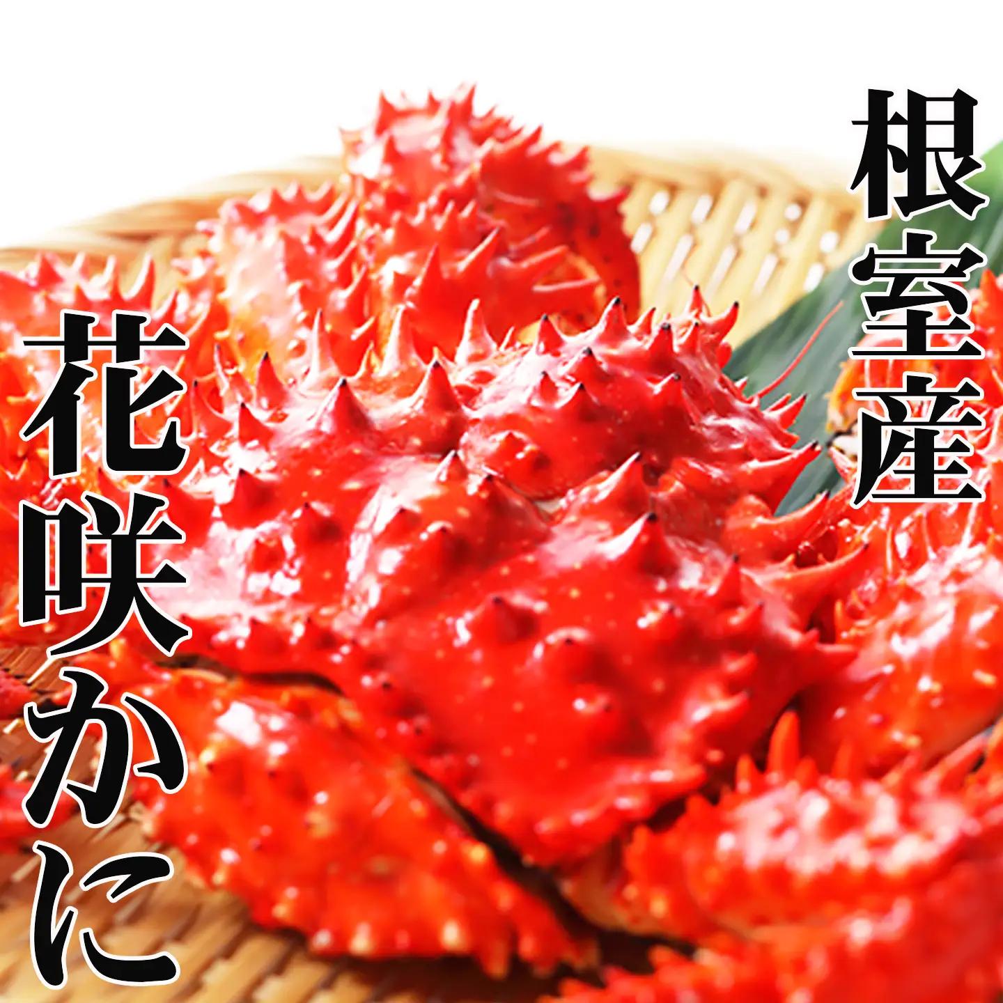 【北海道根室産】花咲かに400g前後～500g前後×4尾 B-36015
