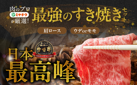 畜産農家応援! 宮崎牛スライス2種セット500g×2パック+豚肉ハンバーグ100g×4個≪みやこんじょ快速便≫_17-N201-R-ESH_(都城市) 1kg 赤身 霜降り 宮崎県産 宮崎牛 肩ロース