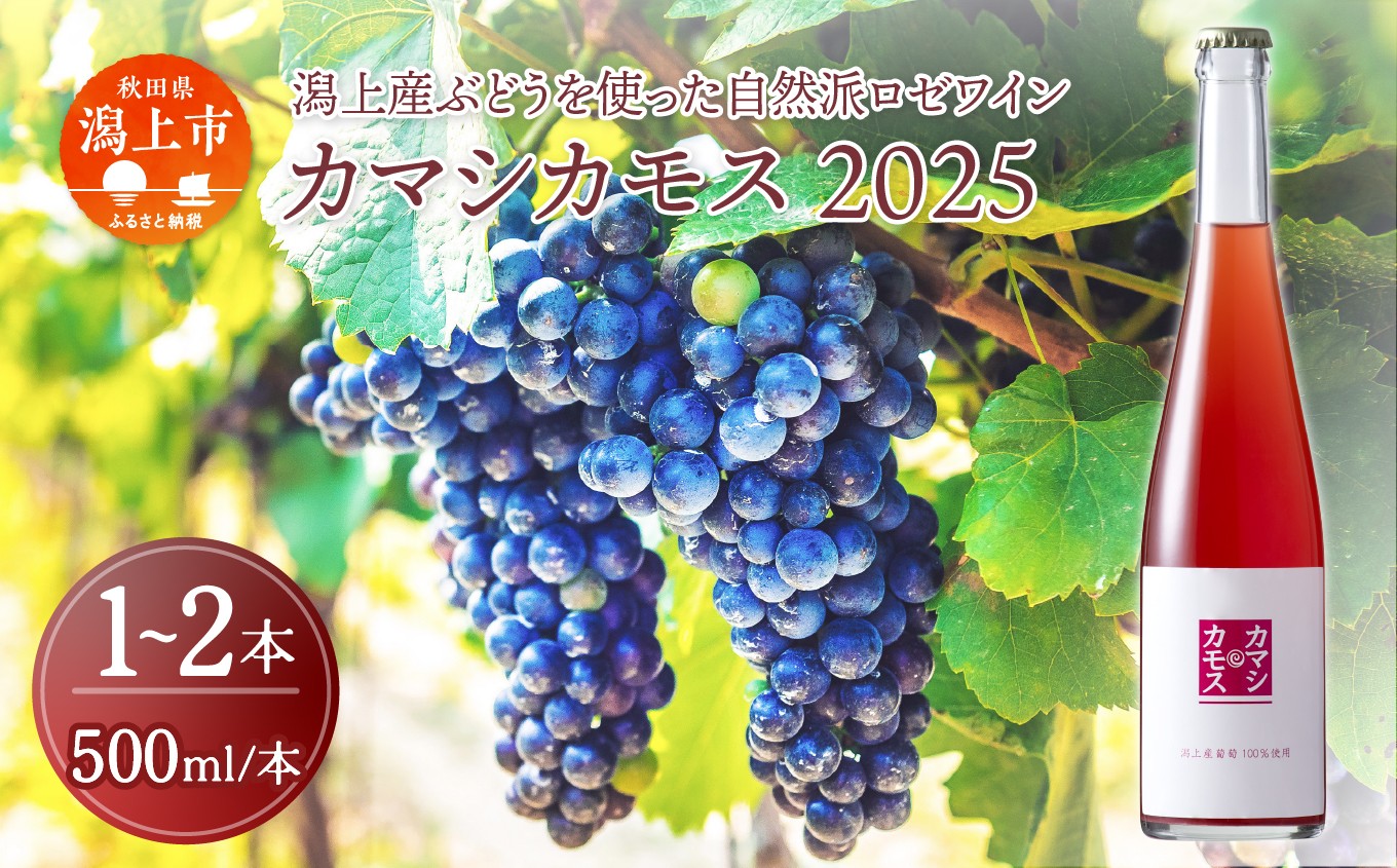 
                  【ふるさと納税】カマシカモス 2025年 ロゼ 中辛口 1本 2本 ワイン 500ml 父の日 敬老 お祝い 贈答 グルメ 秋田県産 秋田 秋田県 潟上 潟上市 【むつみワイナリー】
                
