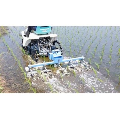 ふるさと納税 防府市 栽培期間中農薬・肥料不使用で作った朝日米　玄米5kg |  | 01