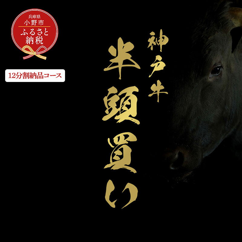 【ふるさと納税】【和牛セレブ】神戸牛半頭分のセレブ体験（12分割納品コース）/ 神戸ビーフ BBQ 牛肉 冷凍 ブランド牛 兵庫県 小野市