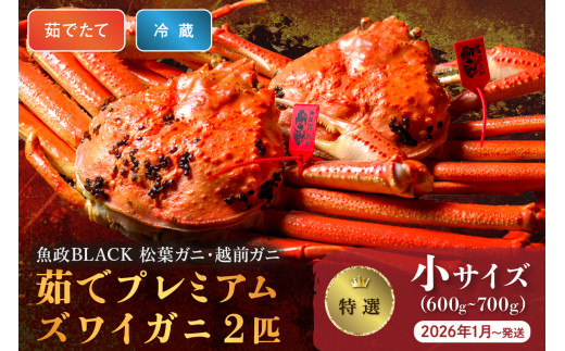 【蟹の匠 魚政】茹で　プレミアムズワイガニ 魚政BLACK（松葉ガニ・越前ガニ）特撰 小サイズ（600～700g） 2匹セット　 (2026年1月～発送)【平日】松葉蟹 蟹 かに カニ ガニ がに ボイル 海産物 甲殻類 海の幸 まるごと　UO01303