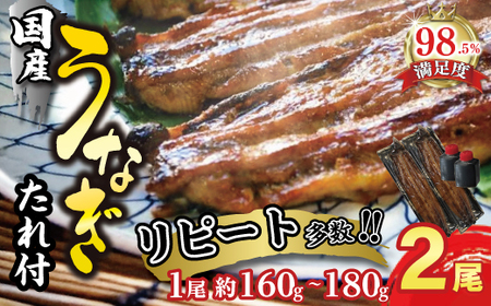 うなぎ 蒲焼 2尾 ( 160g ～ 180g × 2 ) 【D009W】 国産 うなぎ
