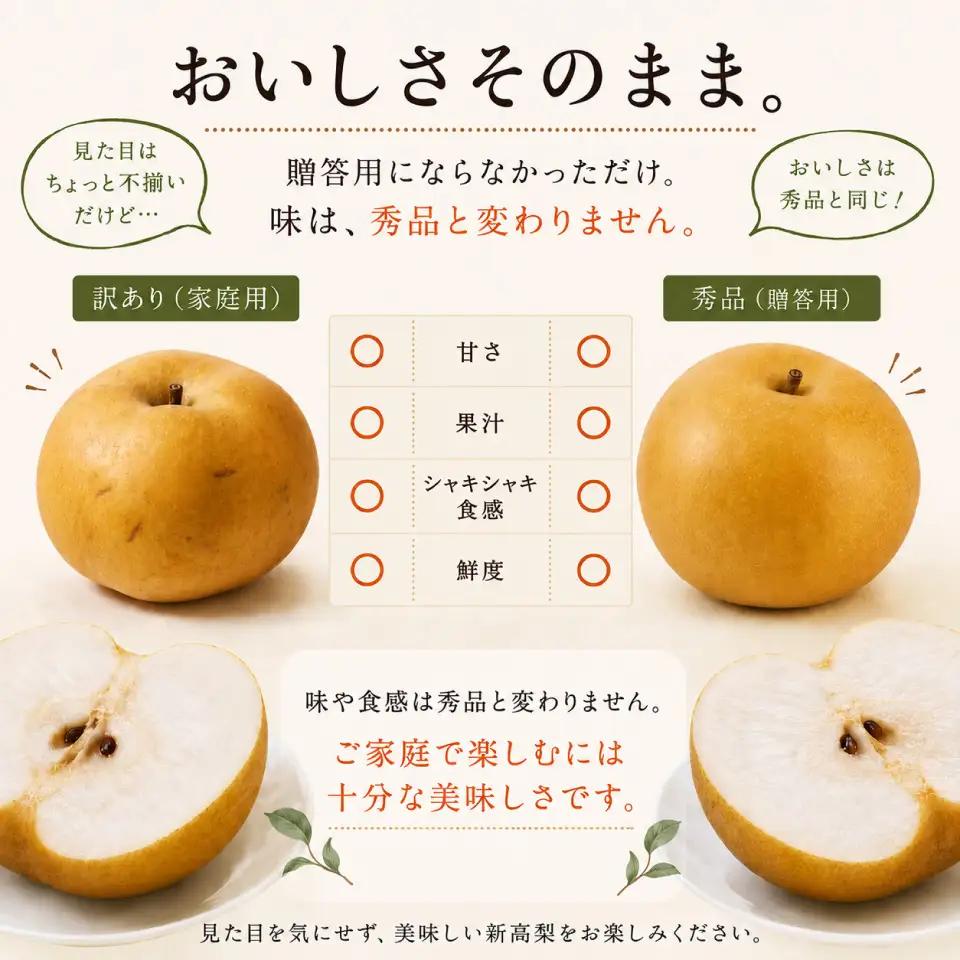 ≪訳あり品≫新高梨 4～6玉 （約 4kg）【常温】【10月中旬～10月下旬発送】2026年秋発送