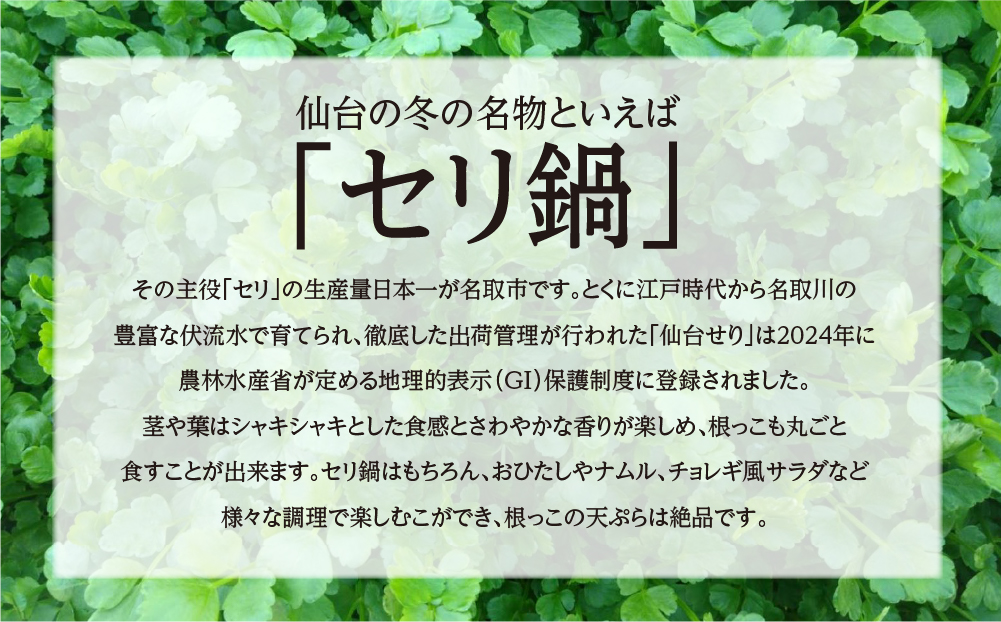 【期間限定】シャキシャキ食感の根付き仙台セリ（500g）4～5人前