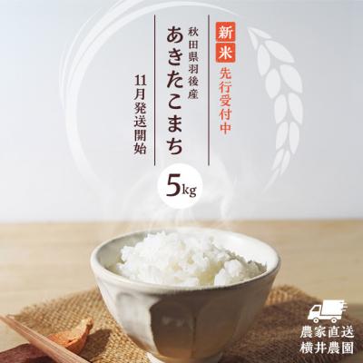 ふるさと納税 羽後町 秋田県羽後町産あきたこまち[No.5325-0432]