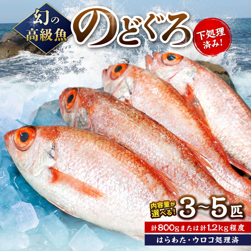 【ふるさと納税】幻の高級魚「のどぐろ（鮮魚）」計800g〜1.2kg程度 選べる 内容量 魚介 のどぐろ アカムツ 鮮魚 高級魚 下処理済み