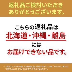 クリスマスツリー M クリア