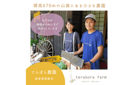 こだわり金時しょうがシロップ 200ml×2本 ギフトセット / 恵那市 / てらぼら農園 [AUDZ001]