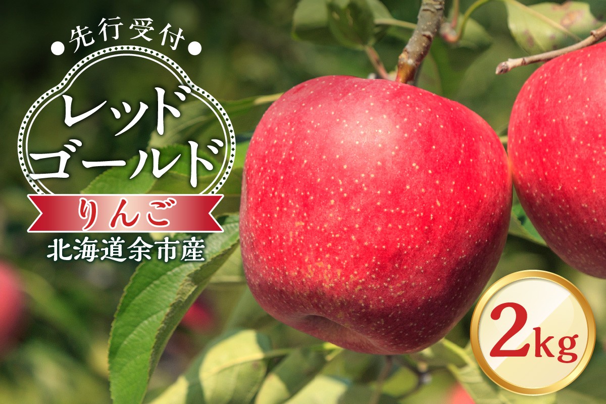 
            【先行予約：2025年10月中旬より発送】りんご（レッドゴールド）2kg【北海道余市町産】
          