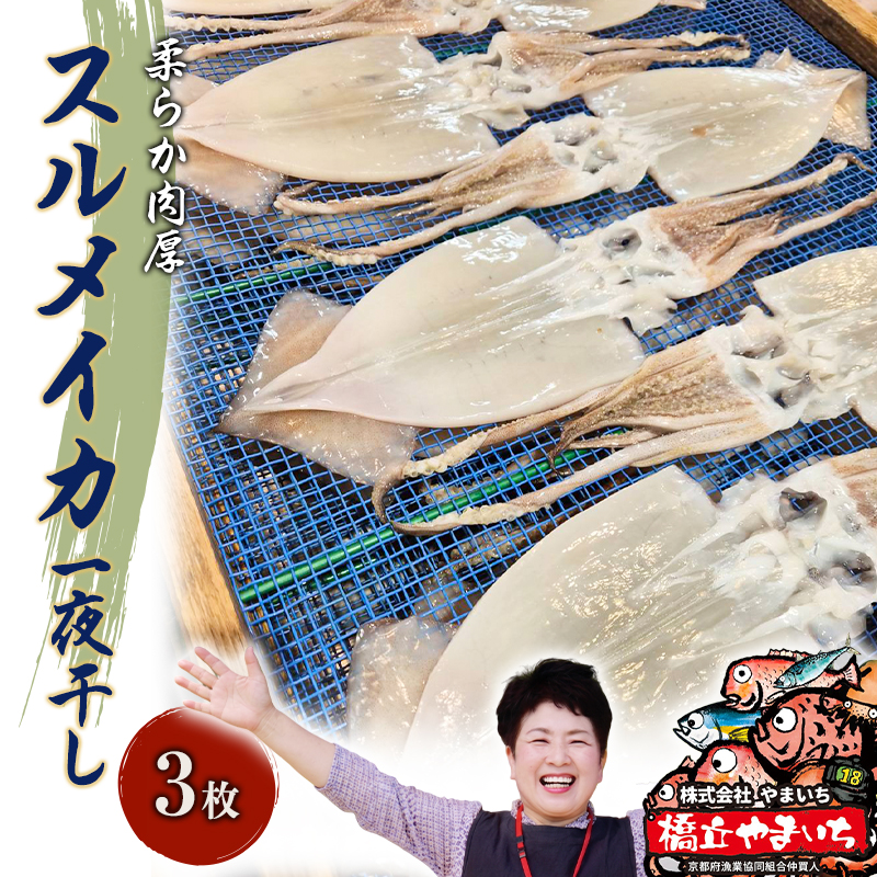 柔らか肉厚のスルメイカ一夜干し 3枚 魚貝類 イカ いか スルメイカ お酒 つまみ 特大 新鮮 保存 冷凍 国産 送料無料 酒の肴 酒のつまみ