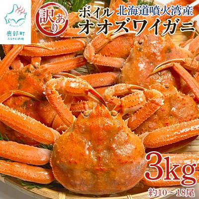 ふるさと納税 鹿部町 北海道産 訳あり ボイルオオズワイガニ 3kg(約10〜18尾) KS24