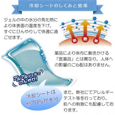 ふるさと納税 高取町 ひえひえ天国 冷却シート 10時間 子供用 30箱入り(16枚x30箱=480枚) |  | 03