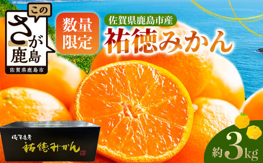 
            B-100【数量限定】みかん 約3kg 化粧箱入り 祐徳みかん | ふるさと納税 温州みかん フルーツ 果物 ギフト 贈答 ミカン 蜜柑 柑橘 くだもの 果実 国産 佐賀県 鹿島市 ふるさと 人気 送料無料 【10月下旬～12月頃発送予定】
          