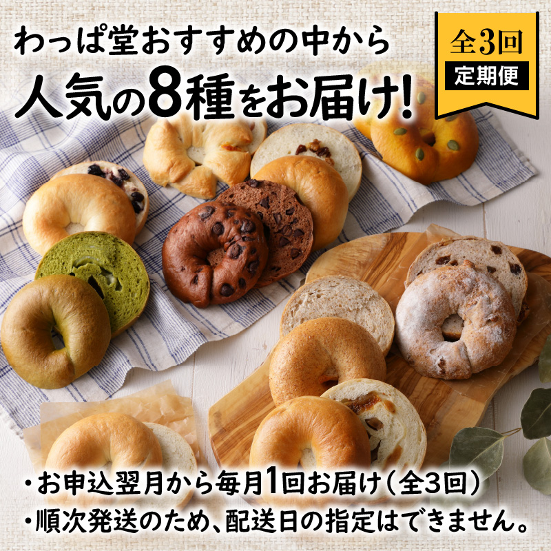 わっぱ堂のふわもちベーグル3ヶ月≪定期便≫　8個×3ヶ月　 H049-035