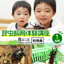 【ふるさと納税】【幼児～小学生対象】昆虫飼育体験講座Bコース（昆虫・飼育セット各自お持ち込み＜体験：9月～12月の各日曜日＞）ご利用券（1名様）　【 体験チケット 生き物 子供 キッズ 】　お届け：2024年7月下旬～2024年9月下旬まで