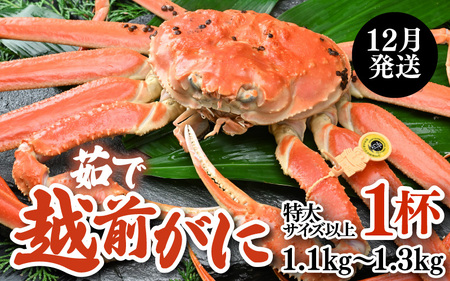 【先行予約】【12月発送限定】茹で越前がに  1杯 1.1kg～1.3kg《新鮮！茹でたてを発送》／ 高級 福井 ブランド ズワイガニ 黄色タグ ボイル 冷蔵 蟹 カニ 期間限定【年内発送 12月23日まで】※2026年12月上旬～2026年12月25日で発送 [aw002-x004_12]
