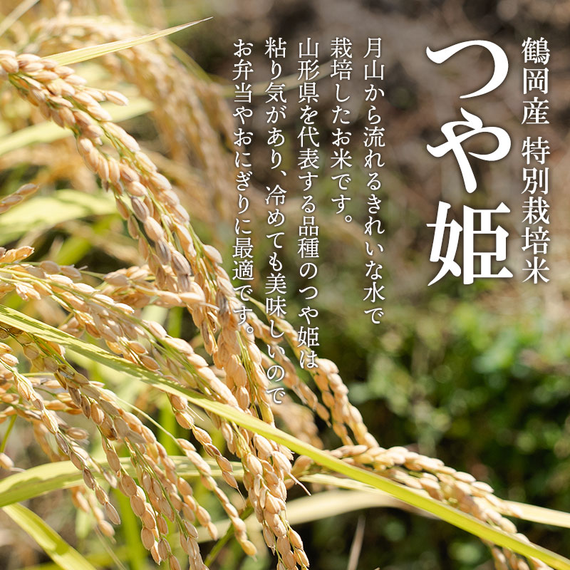 【令和8年産】 黒川まるいし農場の特別栽培米 つや姫 15kg(5kg×3袋)　山形県鶴岡市産　K-8120　| つやひめ 15キロ 米どころ 庄内米 ブランド米 コメ こめ 精米 ご飯 ごはん 美味