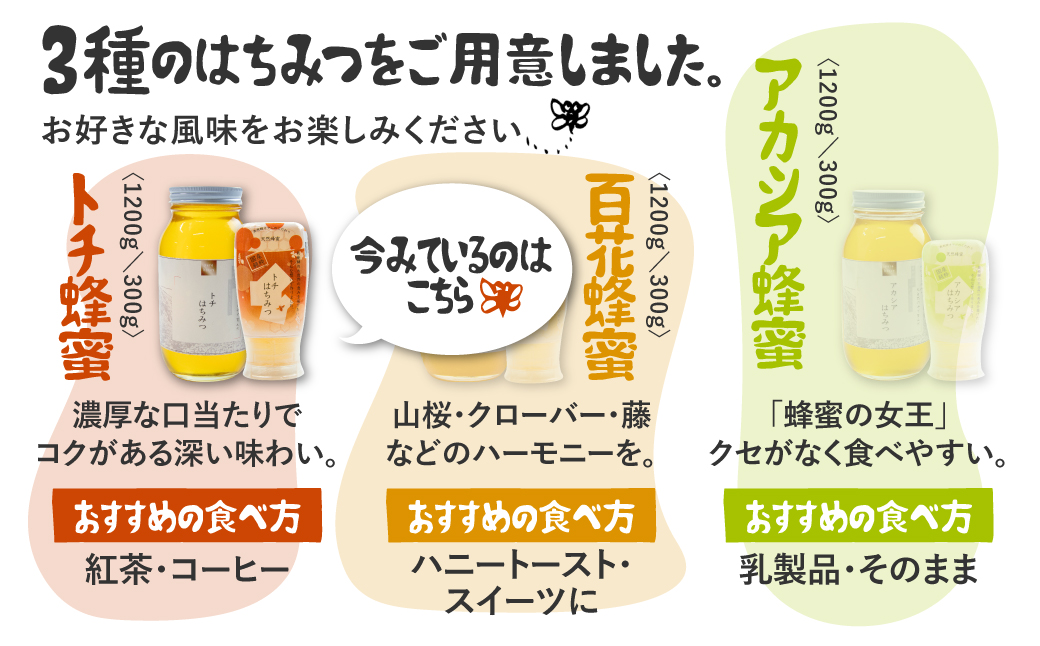 飛騨産 生蜂蜜 トチ蜜 300g 国産無添加 とち蜜 はちみつ ギフト ハニー 非加熱[Q1197]