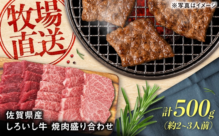 
                  佐賀県産 しろいし牛 焼肉盛り合わせ 500g（約2-3人前） / 牧場直送 国産 牛肉 焼肉 希少部位 / 佐賀県 / 有限会社佐賀セントラル牧場 [41ASAA315]
                