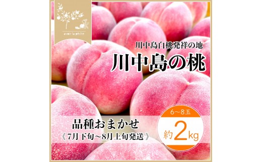 
                  すーさんの果樹屋　【先行予約】川中島の桃 約2kg 品種おまかせ  7月下旬～8月上旬発送予定 | 桃 もも フルーツ 果実  人気 おすすめ ギフト 産地直送 送料無料 長野県 長野市 信州 信濃 ふるさと納税
                