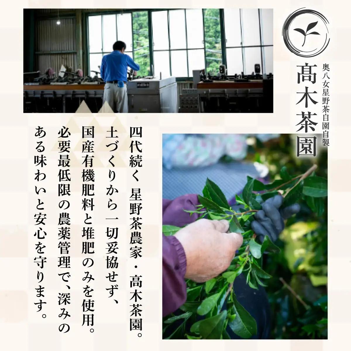  八女茶 伝統 本玉露 50g×1袋【奥八女星野村】