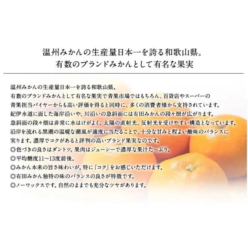 【予約受付】ブランド有田みかん　秀品5キロ/サイズお任せ　※2026年10月中旬～2027年1月中旬頃に順次発送予定（お届け日指定不可）　紀伊国屋文左衛門本舗【sgtb140C】