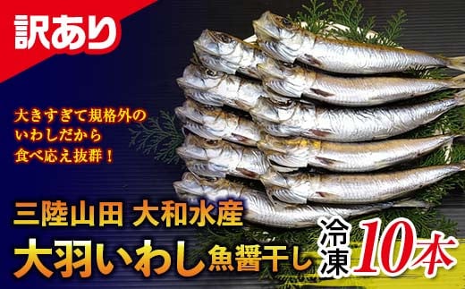 
            【訳あり】大和水産の大羽いわし（魚醤干し）10本 マイワシ まいわし  YD-830
          