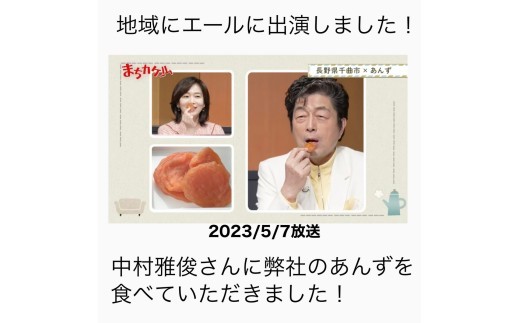 人気 セミドライ（半生あんず）横島あんず40ｇ×3袋セット