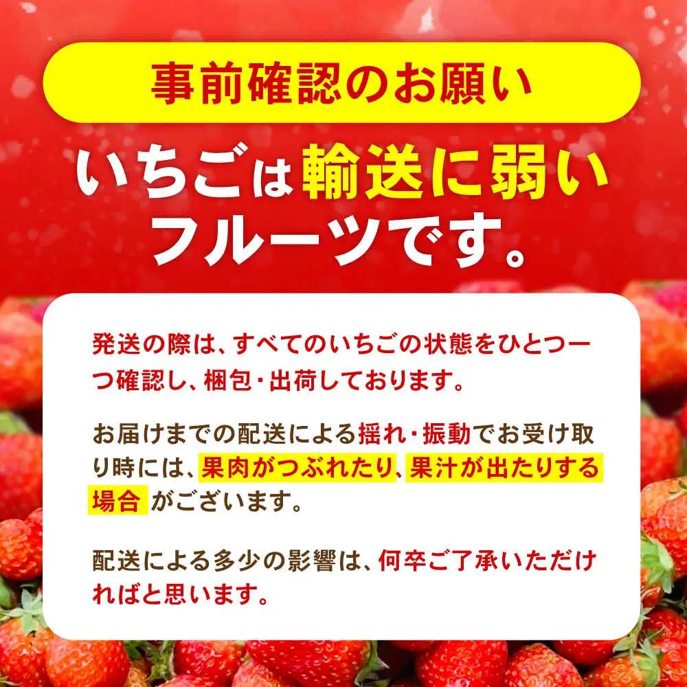 【2回定期便】※【2027年3月上旬頃より順次発送／先行予約】訳あり いちご「ゆめのか」 S-Lサイズ 1.8kg / 訳あり 訳あり商品 訳あり果物 果物訳あり いちご イチゴ 苺 イチゴジャム /
