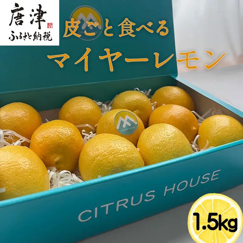『先行予約』【令和8年11月より順次発送】皮ごと食べる マイヤーレモン 1.5kg