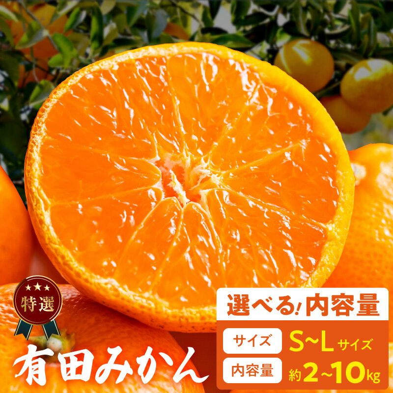 【ふるさと納税】【限定】 特選 有田みかん サイズ 混合 おまかせ S ～ L 約 2kg 約3kg 約5kg 10kg みかん 柑橘 フルーツ 果物 果実 果汁 デザート 深み 濃厚 国産 贈答用 ギフト用 北野農園 お取り寄せ 和歌山県 湯浅町 送料無料