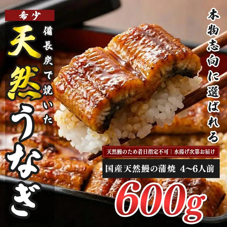 希少 天然 鰻 蒲焼  約4-6人前 600g 国産 四万十川 うなぎ ウナギ  蒲焼き ウナギ蒲焼 鰻蒲焼 うな重 備長炭 炭火 炭火焼き 冷凍 湯せん 小分け 贈答 お取り寄せ ギフトご褒美 簡単 土用の丑の日 高知県 大月町