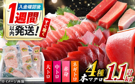 【1週間以内発送】対馬産 本マグロ 4種 計1.1kg（赤身/中トロ/大トロ/ネギトロ）[WAH028] マグロ トロ 中トロ スピード発送 最速発送 最短発送