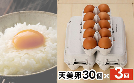 Y988 【3か月定期便】平飼い天美卵30個〈大江ノ郷自然牧場より直送〉