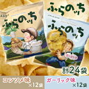 【ふるさと納税】ふらの産ポテトチップス【ふらのっち】コンソメ味＆ガーリック味セット ふらの農業協同組合(南富良野町) ジャガイモ コンソメ ガーリック 芋 菓子 スナック じゃがいも ポテチ　【南富良野町】